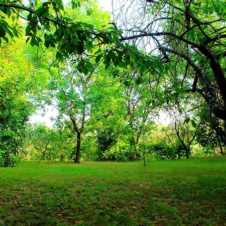 Appartamento My House