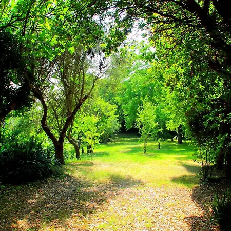 My House Apartment Monsampietro Morico