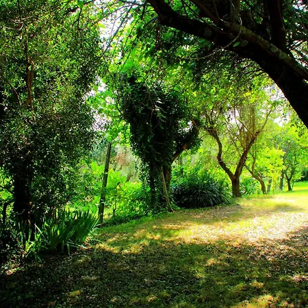 My House Appartamento