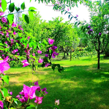 Appartamento My House Monsampietro Morico