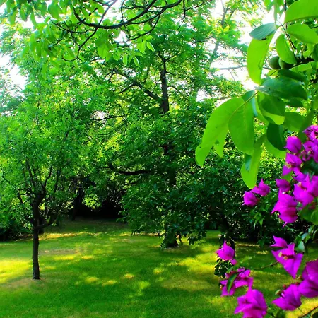 My House Appartamento *