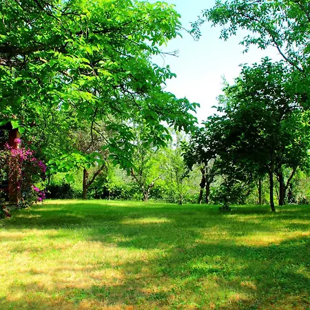 My House Appartamento