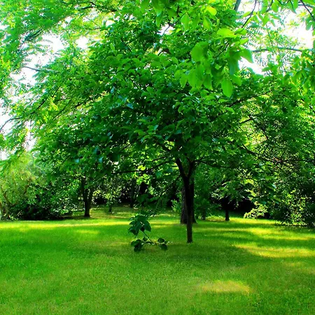 My House Apartment *