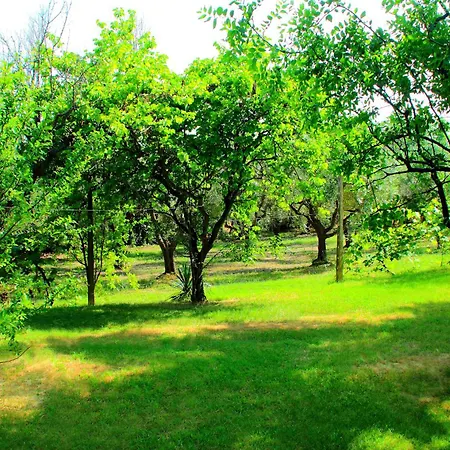 My House Appartamento *