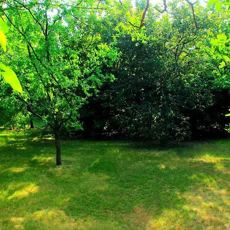 Appartamento My House *