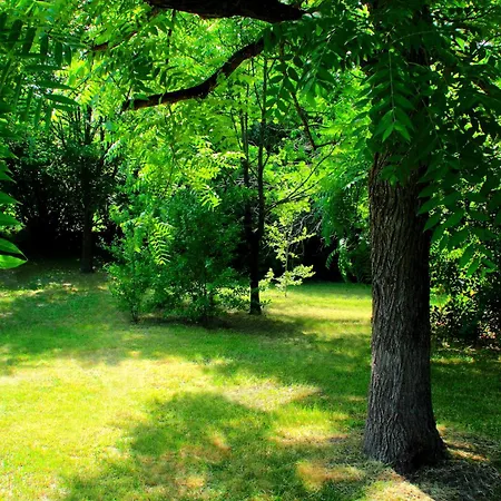 My House Appartamento Monsampietro Morico